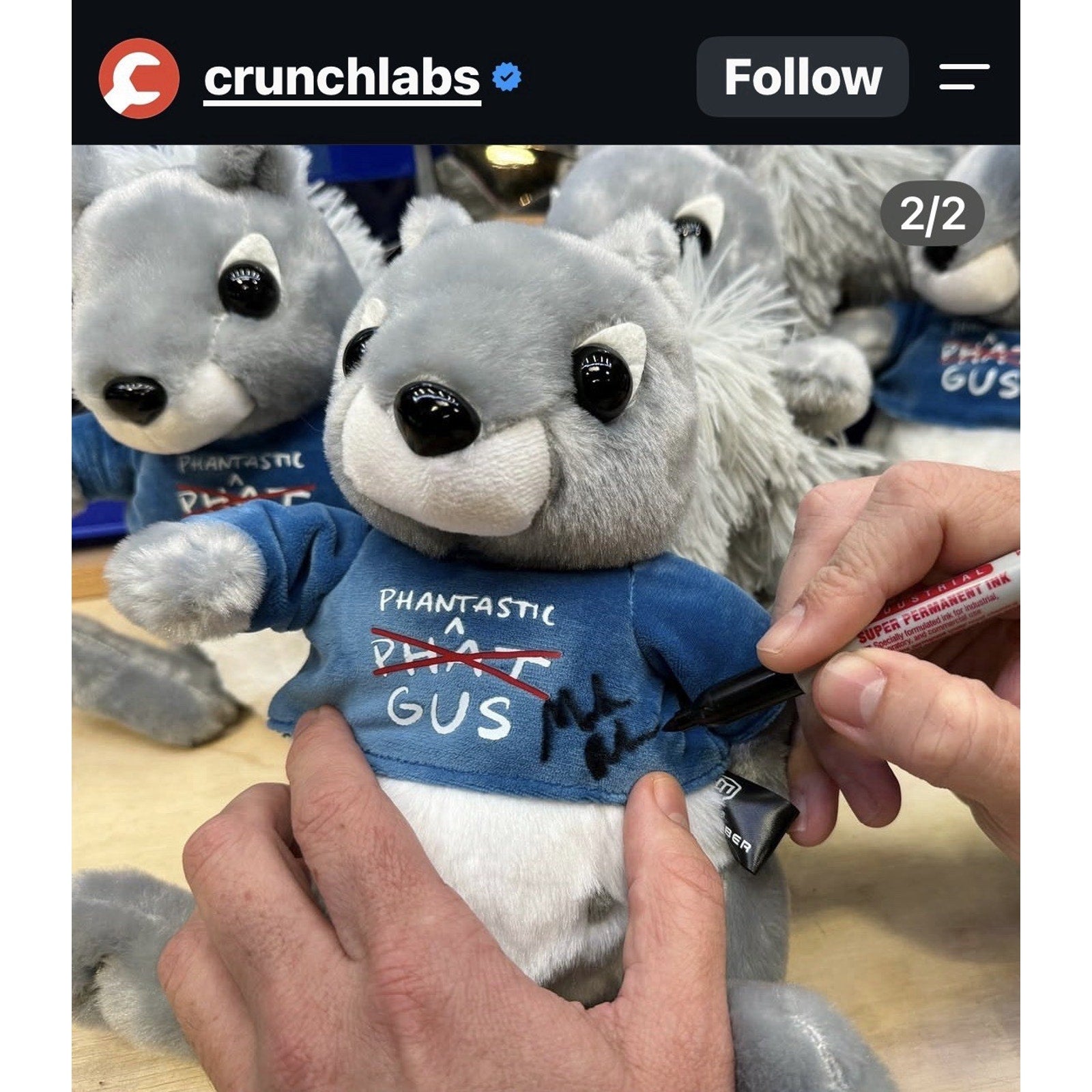 Signed Mark Rober CrunchLabs Phantastic Gus Phat Gus Squirrel Plush Rare Auto