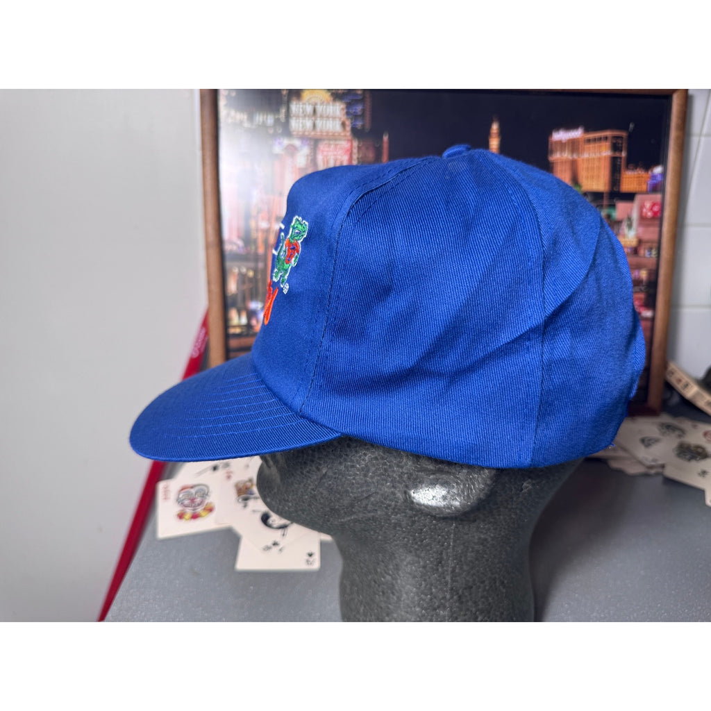Vintage Florida Gators ANNCO Snapback Hat 90s NCAA Albert Logo Made Taiwan Blue