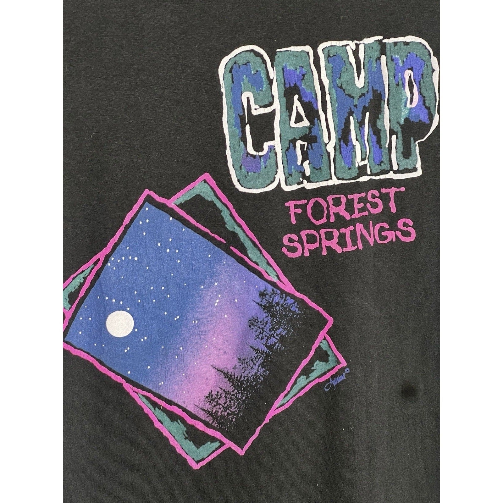 Vtg 80s/90’s Neon Graphic T-Shirt L Forest Springs Large Hanes Single Stitch USA
