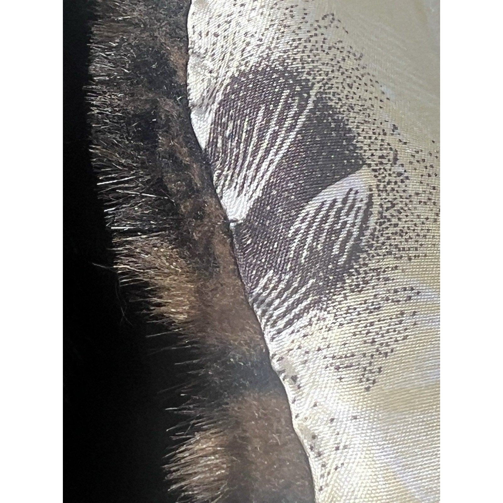 Rare VTG 1920s 1930s Luxury Sable Fur Vest Dark Brown Flapper Gatsby Art Deco M