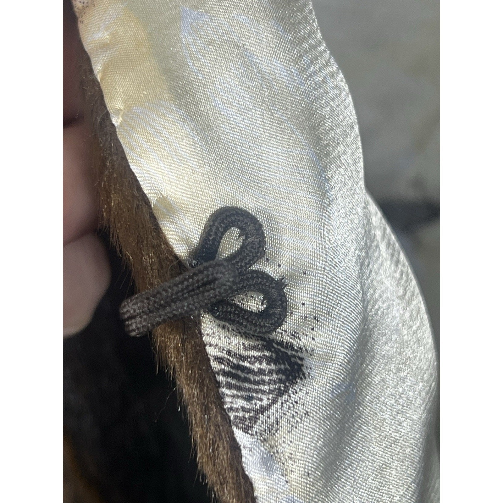 Rare VTG 1920s 1930s Luxury Sable Fur Vest Dark Brown Flapper Gatsby Art Deco M