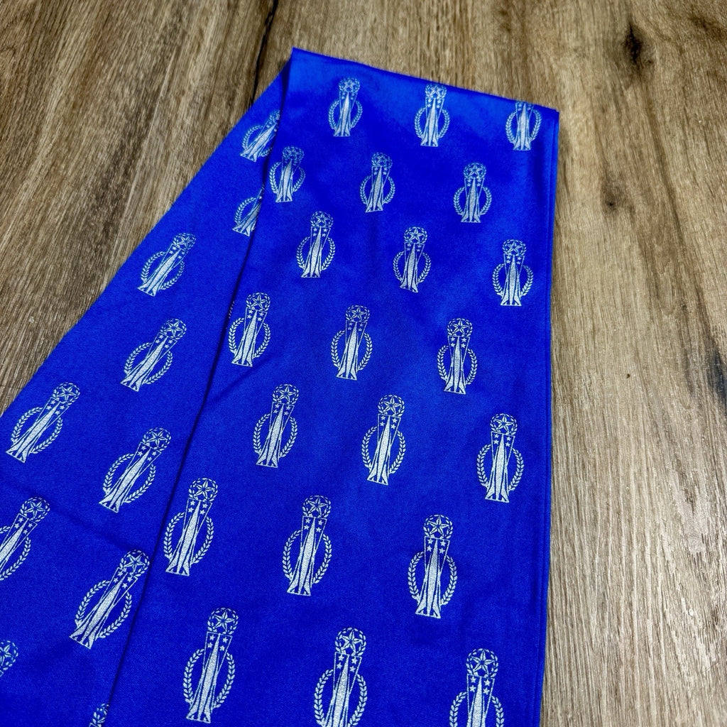 Vtg Rakkel RAMA World USAF Air Mobility Command AMC Flight Crew Scarf Made USA