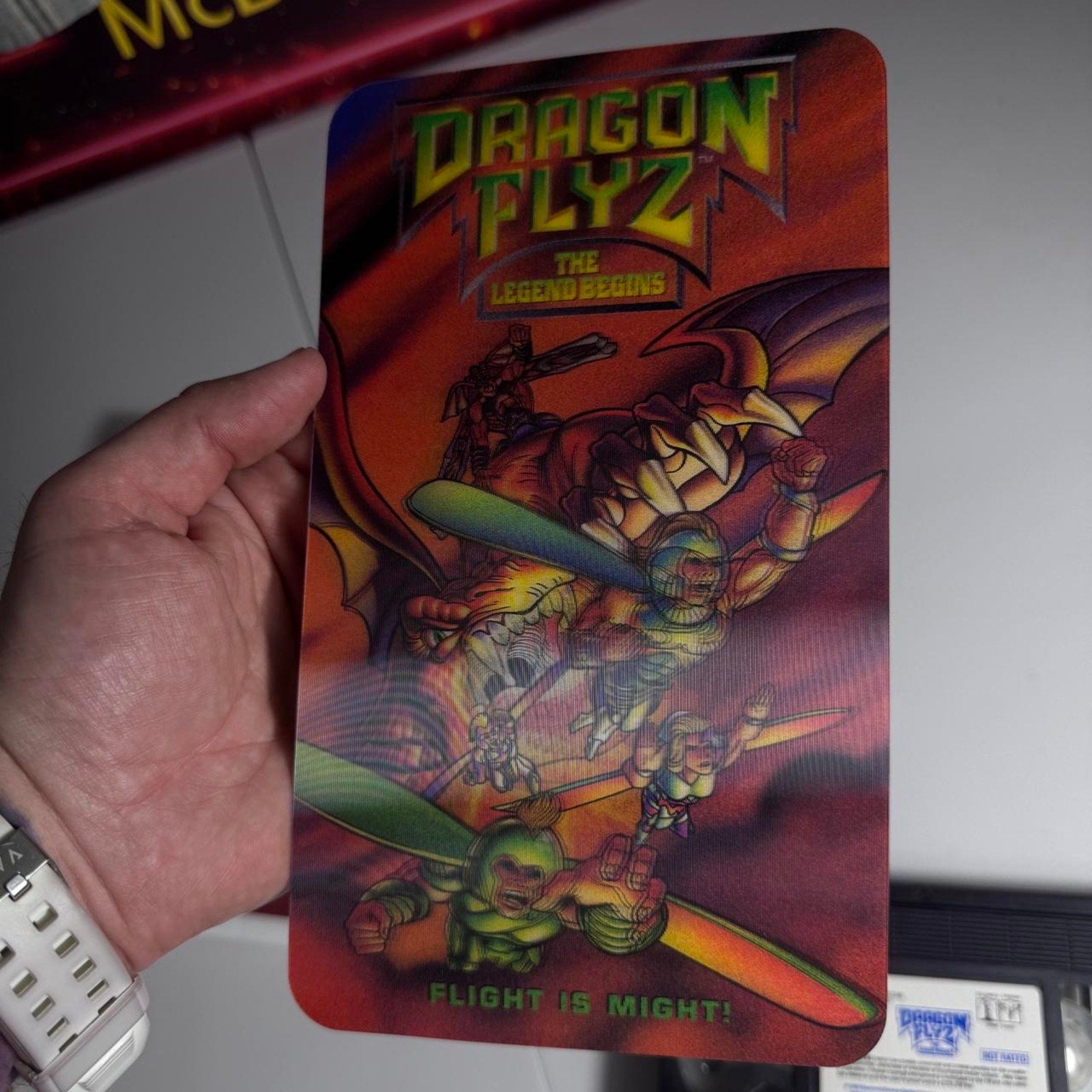 Dragon flyz the legend begins