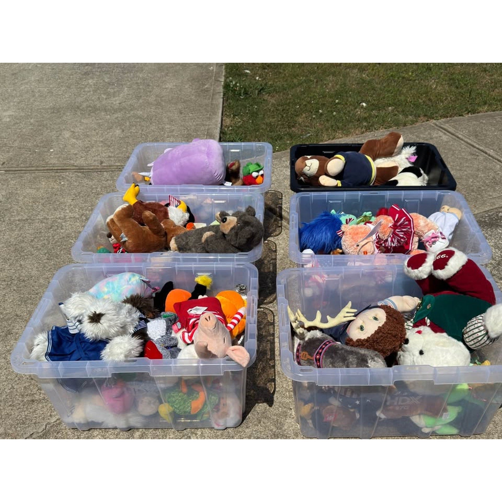 Massive Plush Lot (6 Full Totes) Vintage 80s 90s Build A Bear Cabbage Patch + Characters